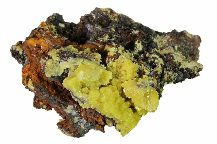Mimetite Crystal Clusters on Limonitic Matrix - Mexico #157135